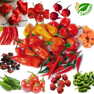 Pimiento Picante Mezcla ( 100 semillas ) Chile Chili Pimientos Picantes Mix - Imagen 1 de 1