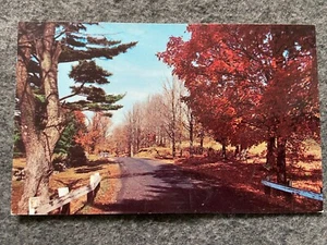 Greetings from Walden, New York Postcard - Picture 1 of 2