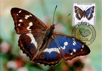 Germany 1991 Youth FDC Purple Emperor Butterfly 60 Pf Scott #1719 Berlin - Image 1 of 2