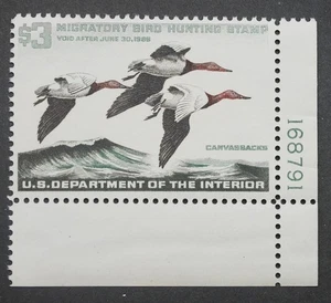 RW32 Federal Duck Hunting Stamps Fine MNH OG w/PB# Bird Hunting Stamp 1965 - Picture 1 of 2