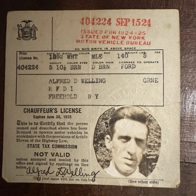 Lote de insignias y licencias de chofer vintage de Nueva York 1914-1928 identificación de Alfred Welling, Ford Reg Foto 1 de 4