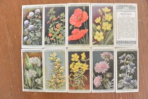 Cigarette Cards WILLS: 1923 WILDFLOWERS (Full Set). - Picture 1 of 1