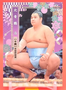 Hokuseiho osamu / Sumo Wrestler Trading Card BBM TCG Japan Japanese #65 - Bild 1 von 10