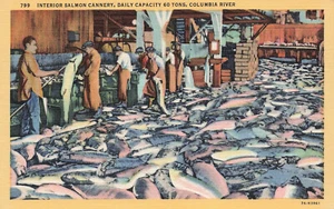 INTERIOR SALMON CANNERY COLUMBIA RIVER OR OREGON 1937 LINEN POSTCARD 093024 T - Picture 1 of 2