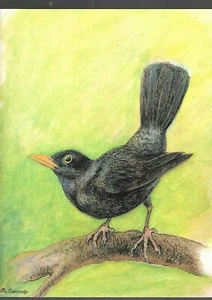 Lithography Signed M Genevoix Bestiary Ref E36 - Picture 1 of 1
