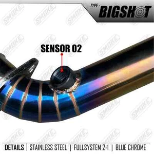 Exhaust Harley-Davidson Road Glide 2 INTO 1 1999-2017 Full System - Picture 1 of 4