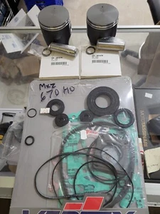 Skidoo Mxz Summit X 670 HO Top End Std Bore Spi Pistons Complete Gasket Kit - Bild 1 von 4
