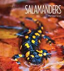 Salamanders (Living Wild) By Melissa Gish **Brand New**