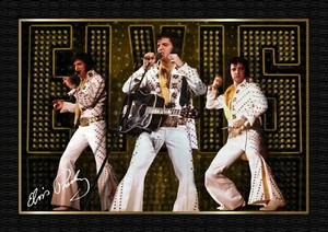 ELVIS PRESLEY - On Tour 1972 -  SIGNED ORIGINAL A4 PHOTO PRINT MEMORABILIA - Bild 1 von 4