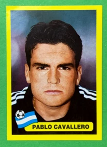 2002 Navarrete Korea Japan World Cup FIFA Face STICKER #360 PABLO CAVALLERO - Picture 1 of 2
