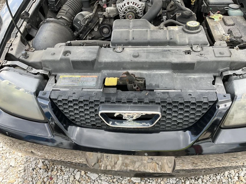 Grille Base V6 Fits 99-04 MUSTANG 4972562 - Image 1 of 1