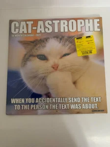 Calendario de pared Cat-Astrophe 2021 (usa imágenes para manualidades o marcos como arte de pared) - Imagen 1 de 2
