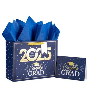 Navy and Gold Graduation Gift Bag - Gold Foil 2025 Design with Tissue Paper G... - Picture 1 of 7