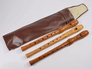 3 Sopran Blockflöten von Hohner & Moeck - Holz deutsche Griffweise Set - Bild 1 von 5