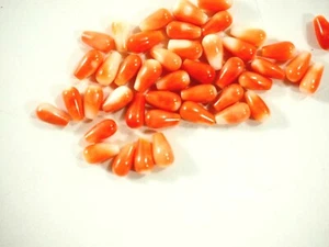 Natural Hawaiian Salmon Coral Teardrop Cabochon Single Drilled - Picture 1 of 19