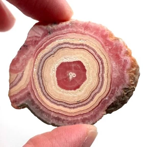 132 carat Rhodochrosite endcut - 46 mm - Argentina stalactite bullseye - Picture 1 of 12