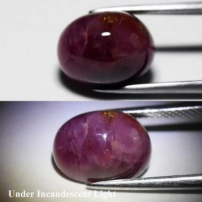 💎 8.82ct Oval Natural Purplish Red Cat's Eye Ruby - Unheated, Malawi Gemstone - Image 1 of 4