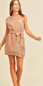 RESET BY JANE Dress Blush Lined Sequin One Shoulder Size Small NEW - Picture 1 of 2