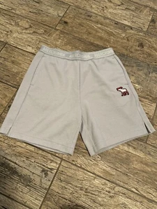 Abercrombie Kids athletic shorts Gray boys size 9/10 - Picture 1 of 5