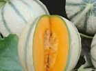 3x Melon Artemis F1 - Melon Graines Auto Féconde Fruits Plant Jardin KS419