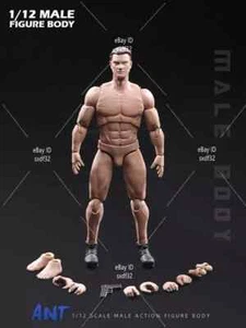 1/12 ANT Flexible Muscular Strong Male Body with Head, Hand Shaped Shoe Model - Picture 1 of 4