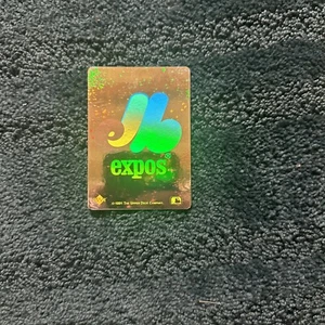1991 Upper Deck Hologram Team Logo Sticker! The Expos! Just One! - Picture 1 of 2