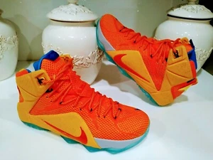 Nike iD LeBron XII 728709-992 Men's Athletic Basketball Shoes Size 11 Very Clean - Picture 1 of 8