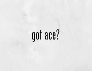 (2x) got ace? Sticker Die Cut Decal Vinyl Car Windshield Laptop Tumblr Mug - Bild 1 von 1
