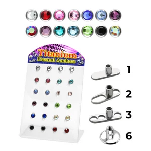 Wholesale L-stand Acrylic 48Pk 24 Base 24 Top Titanium Implant Dermal Anchor 5mm - Picture 1 of 19