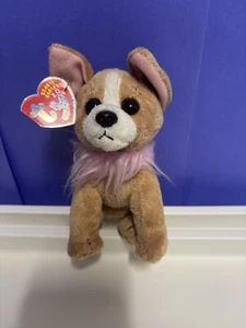 Ty 2.0 Beanie Baby PICO the Chihuahua Dog 6" NEW MWMTs Plush Stuffed Animal Toy - Picture 1 of 4