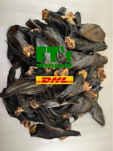 10-100 XXL Rinderohren mit Muschel und Fell, FT's Tiernahrung,Leckerlie,Kausnack - Bild 1 von 12
