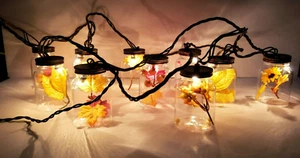Fall Harvest Mason Jar Charming Hanging String 10 Light Set 10 Feet Plug in - Picture 1 of 23