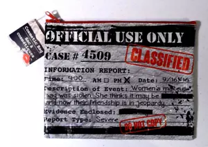 NEW! Classified File TRUE CRIME Large Cosmetic Pouch Makeup Bag - SHIPS FREE! - Picture 1 of 1