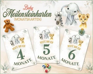 Baby Meilensteinkarten | Elefant Safari | Baby Monatskarten | Größe A5 - Bild 1 von 8