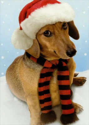 Weinerful Time - Recycled Paper Greetings Dachshund Dog Christmas Card