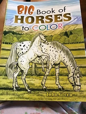 Big Book of Horses to Color by John Green (English) Paperback Book New Foto 1 de 4