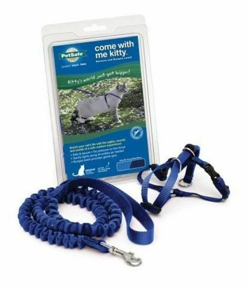 Petsafe Come With Me Kitty Harness and Bungee Cat Leash Small S Royal Blue Navy