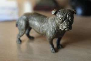 Perro austriaco pintado en frío bronce dorado de Bergman 12 cm - Imagen 1 de 4