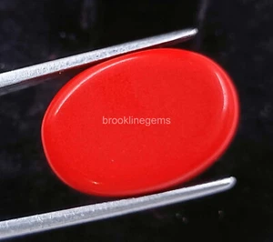 Corte Ovalado 22 Ct Coral Rojo Natural Certificado EGL Italia Piedra Preciosa Suelta Opaca 4SUH - Imagen 1 de 7