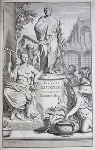ZWINGER BOTANIK KRÄUTERBUCH HOLZSCHNITTE PFLANZEN KRÄUTER DEUTSCH BASEL 1744 - Picture 1 of 12