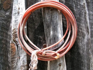 Antigua cuerda de lazo de vaquero "retirada" vintage decoración de pared occidental, #R3 - Imagen 1 de 3