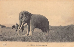 China - Ming Gräber - Marmor Elefant - Publ. Th. C. 72 - Bild 1 von 2