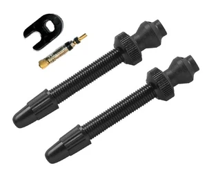 Pareja De Válvulas Tubeless BARBIERI + Aguja De Repuesto 60mm - Imagen 1 de 1