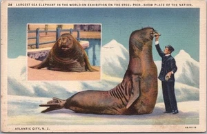 Postal de Atlantic City 1935, Nueva Jersey Sea Elephant Show muelle de acero/lino - Imagen 1 de 2