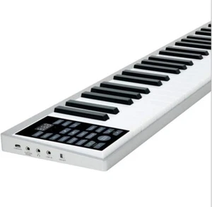 Portable Intelligent Electronic Piano 61-key Electronic Organ Hand Roll Ultra-th - Picture 1 of 9