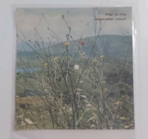 JEWISH HOLIDAY SONGS POSTCARD  HEBREW ISRAELI  JUDAICA RECORD - Picture 1 of 2