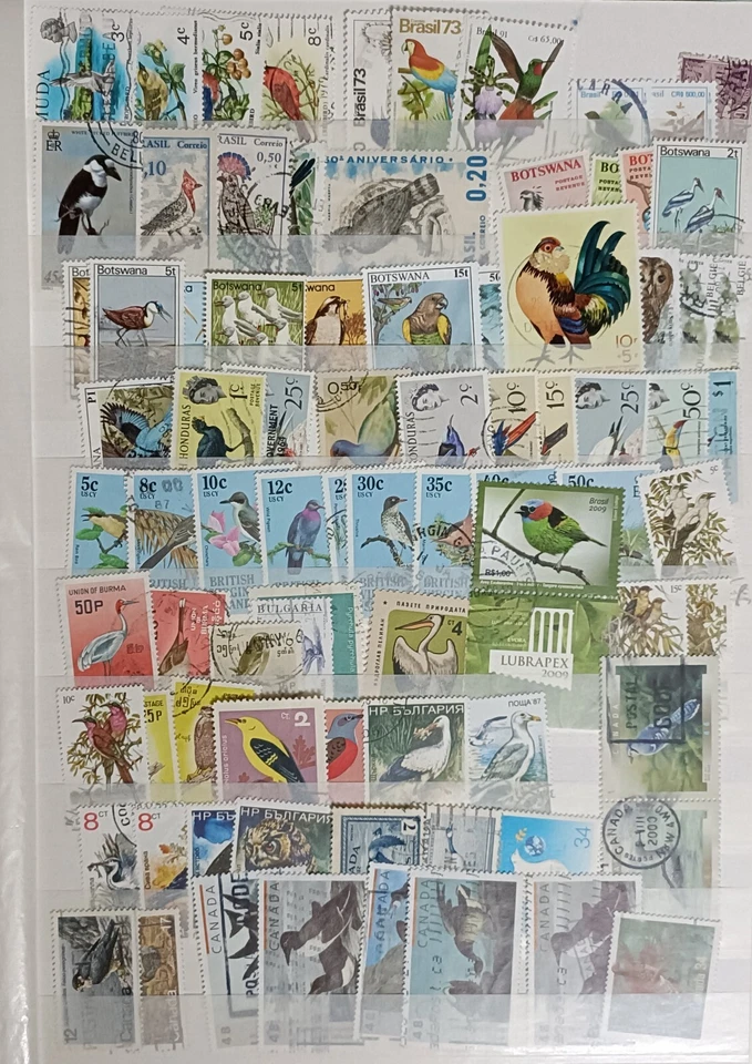 Bermuda  Canada Brazil British Virgin Is. Birds Fauna Stamps Used Collection - Image 1 of 3