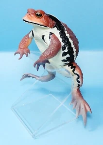Kitan Club Big Size Red & Brown Japanese common toad figure Figure US seller new - Picture 1 of 4