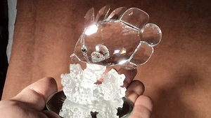 Swarovski 7644 NR 077000 serie South Seas plomo cristal mariposa pez - Imagen 1 de 5