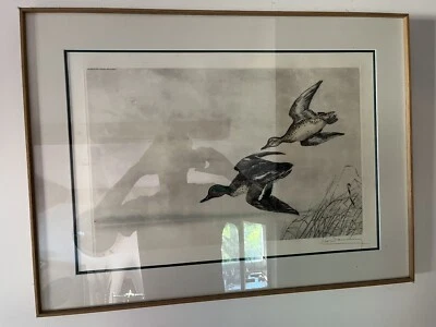 Gravure Canards Léon Danchin  - Photo 1/3